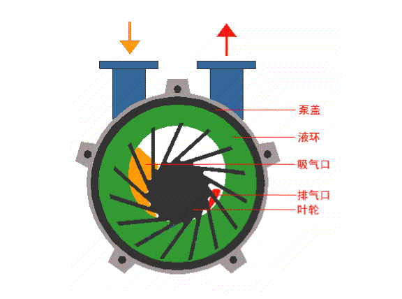 水環(huán)式真空泵的工作原理結(jié)構(gòu)圖