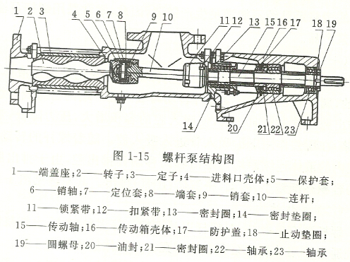 螺桿泵結構圖